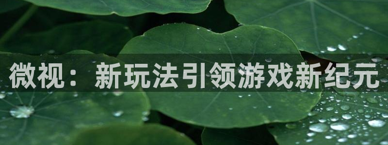 非凡游戏官网子公司怎么样：微视：新玩法引领游戏新纪元