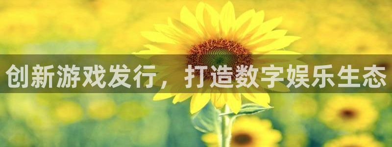 江苏非凡游戏官网智得：创新游戏发行，打造数字娱乐生态