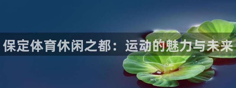 bbin视讯游戏平台