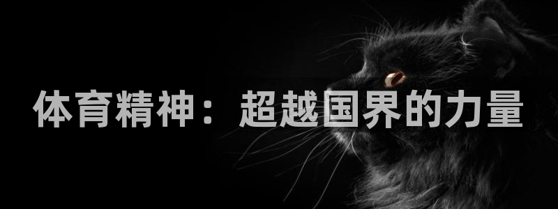 bbin视讯