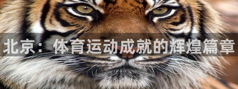 bbin视讯