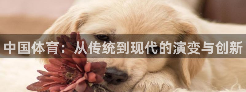bbin视讯游戏平台
