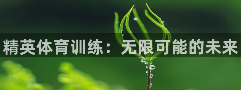 bbin视讯下